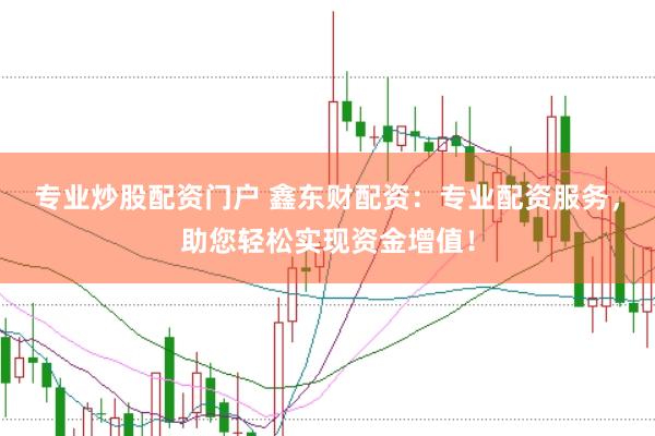 专业炒股配资门户 鑫东财配资：专业配资服务，助您轻松实现资金增值！