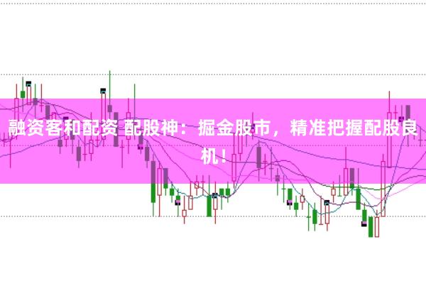 融资客和配资 配股神：掘金股市，精准把握配股良机！
