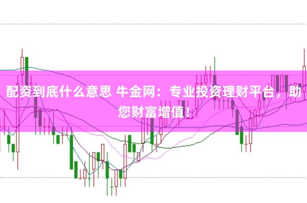 配资到底什么意思 牛金网：专业投资理财平台，助您财富增值！
