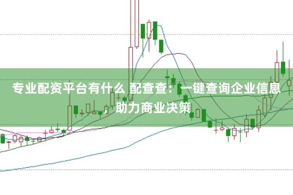 专业配资平台有什么 配查查：一键查询企业信息，助力商业决策