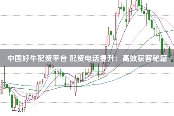 中国好牛配资平台 配资电话提升：高效获客秘籍