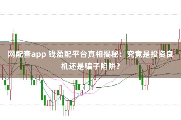 网配查app 钱盈配平台真相揭秘：究竟是投资良机还是骗子陷阱？