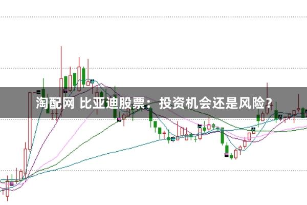 淘配网 比亚迪股票：投资机会还是风险？