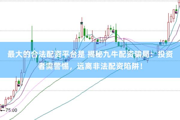 最大的合法配资平台是 揭秘九牛配资骗局：投资者需警惕，远离非法配资陷阱！
